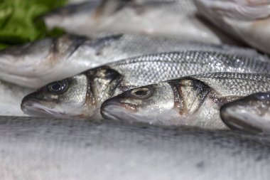 Taze levrek yalan buzda soğutulmuş. Depodaki taze balık