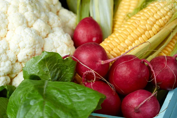 Red Radish Yellow Corn Cauliflower Concept Fresh Juicy Vegetables — Stock Photo, Image