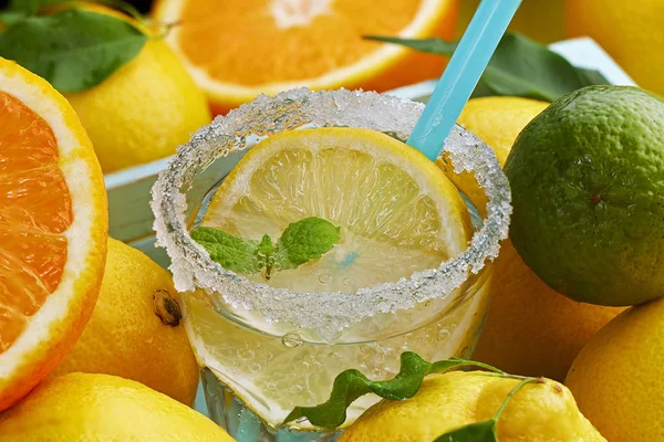 Lemon drink with mint surrounded by lots of lemons and limes