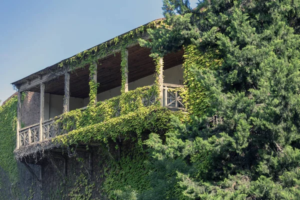 Balcone Legno Intrecciato Con Uva Selvatica Verde — Foto Stock