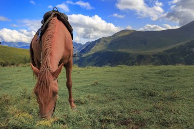 Dağlar ve mavi gökyüzü bulutlu arka plan üzerinde otlatma at