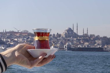El, Istanbul 'un Sultanahmet Camii 'nin arka planında bir fincan Türk çayı tutuyor. Konsept: Istanbul 'a hoş geldiniz, Türkiye