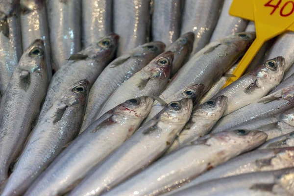 Anchova de peixe fundo no gelo na loja de mercado de pescadores. Frutos do mar europeu pilha de padrão de anchova no gelo. Anchovas do mar Negro são colocadas na família Engraulidae. Bico de peixe pequeno para venda — Fotografia de Stock