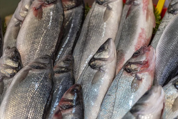 Anchova de peixe fundo no gelo na loja de mercado de pescadores. Frutos do mar europeu pilha de padrão de anchova no gelo. Anchovas do mar Negro são colocadas na família Engraulidae. Bico de peixe pequeno para venda — Fotografia de Stock