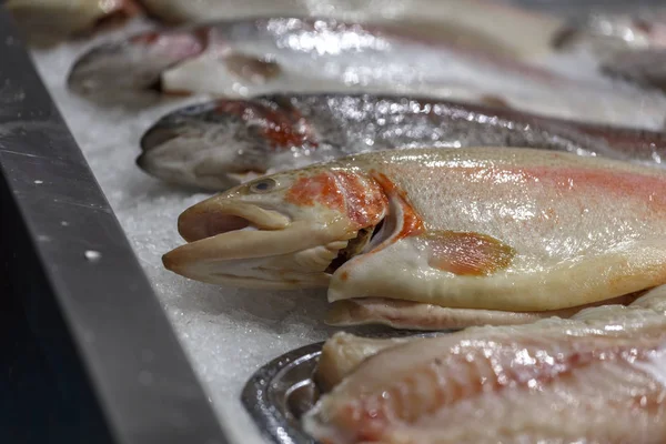 Peixe vermelho fresco no gelo. Truta de salmão fresca deitada no gelo. — Fotografia de Stock