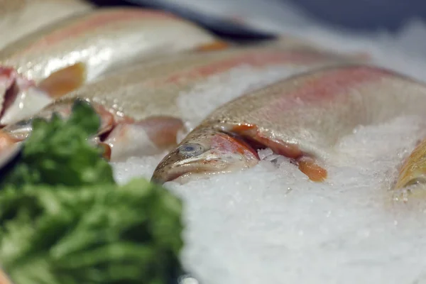 Pesce rosso fresco sul ghiaccio. Trota di salmone fresca sdraiata sul ghiaccio. — Foto Stock