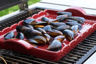 Izgara karides, ızgara karidesler, Barbe que deniz ürünleri.