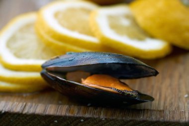 Midye ahşap zemin üzerine limon kabuğu