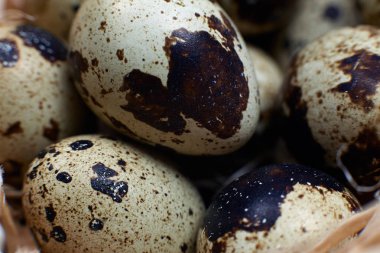 Beyaz kara zemin üzerinde saman saman bıldırcın yumurtaları