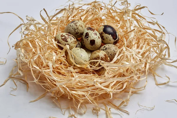 Quail eggs in hay of hay on white blackground — Stock Photo, Image