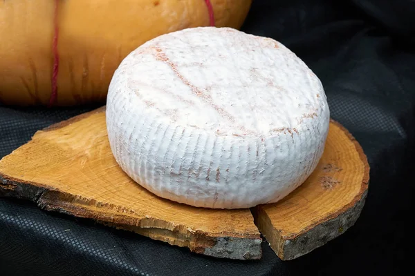 Big head of cheese in a white mold lying on a wooden board, black backgraund