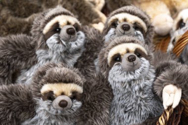 Hediyelik eşya dükkanının tezgahında peluş tembel hayvanlar. Çocukların yumuşak oyuncakları