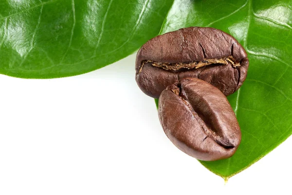 Two coffee beans with two green leaves on a white background, isolate. concept: freshness of coffee beans. — Stock Photo, Image