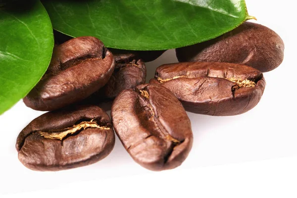 Um punhado de grãos de café com folhas verdes em um fundo branco, isolar. conceito: frescura de grãos de café. Um monte de feijões. de perto — Fotografia de Stock