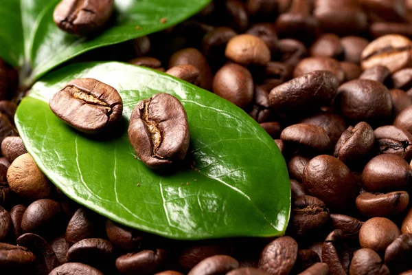 Grão de café com uma folha verde no fundo de grãos de café. conceito: frescura de grãos de café . — Fotografia de Stock