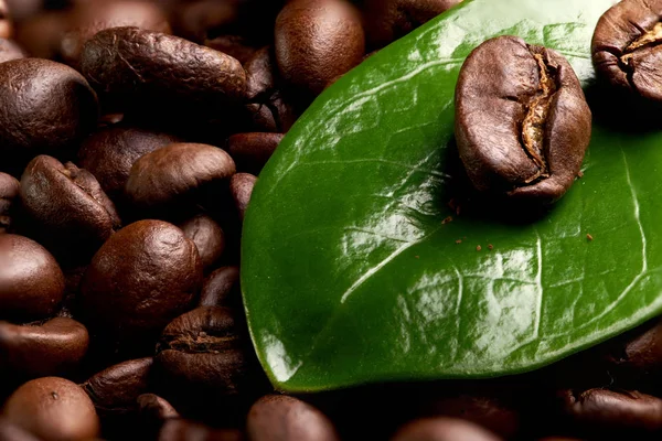 Grains de café sur une feuille verte avec des gouttes d'eau sur le fond des grains de café — Photo