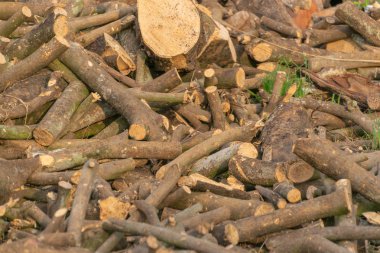 Bir sürü ateş ahşap Tayland