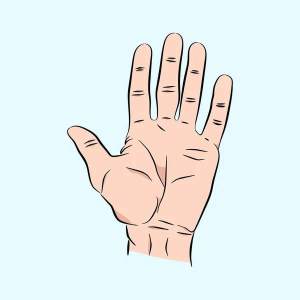 A mão estendeu cinco dedos. Escove a mão masculina humana em um estilo de esboço, ilustração vetorial de cor — Vetor de Stock