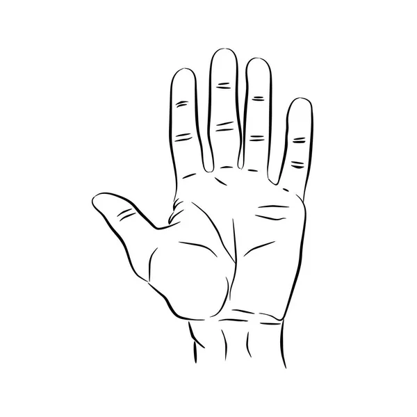 Counting fingers - number five. Hand showing five fingers, high five sign. Communication gestures concept. Vector illustration isolated on background