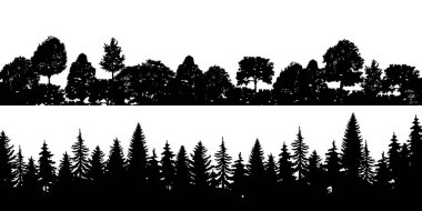 Siyah yatay siluetler iğne yapraklı treetops orman çam, ladin, sedir seti . Kozalaklı ladin panoraması. Dökmeyen ahşap park. Beyaz arka plan Eps vektör