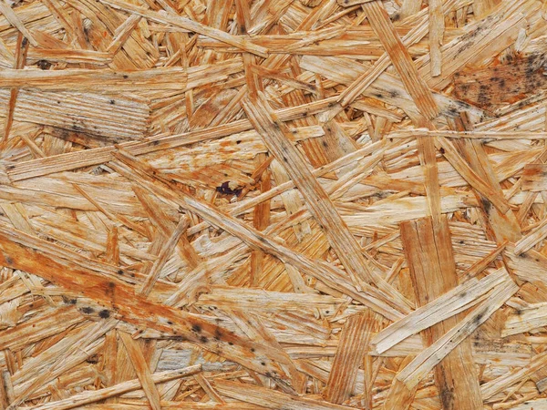 Surface Pressed Wood Sawdust Close Texture Chipboard Background Wood Recycling — Stock Photo, Image