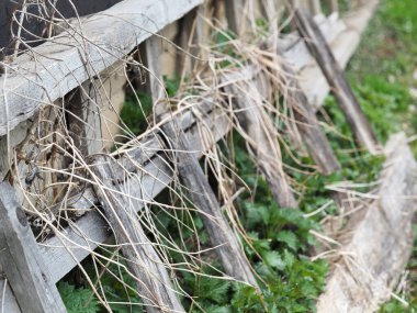 Evin yakınındaki kuru çimlerin üzerinde bir ahşap merdiven var.