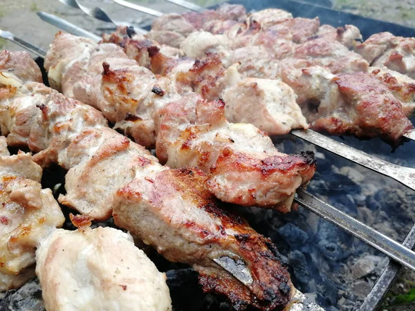 Shish Cerdo Kebab Las Brochetas Fríe Sobre Brasas Parrilla Picnic — Foto de Stock