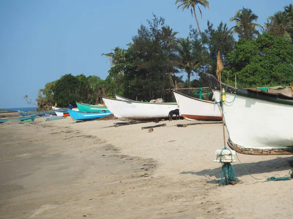 Long Côte Sur Sable Est Beaucoup Bateaux Pêche Pêche Inde — Photo