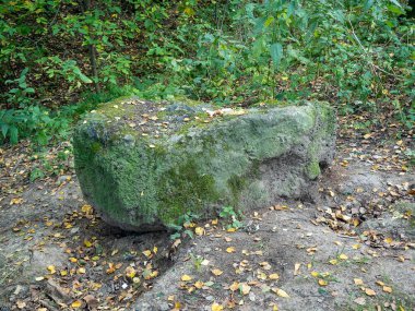 Gün boyunca parkta yosun kaplı kaya parçası.