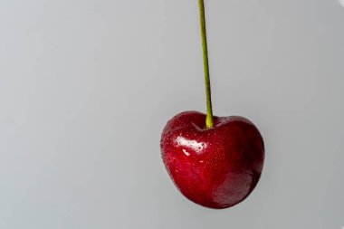 Sulu, olgun bir kirazın yakın çekimi. Seçici odak, bulanık beyaz arkaplan, kopyalama alanı.