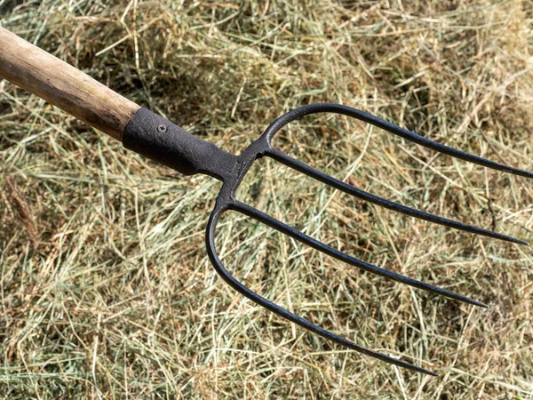 Primo Piano Una Forchetta Fieno Uno Strumento Agricoltura — Foto Stock