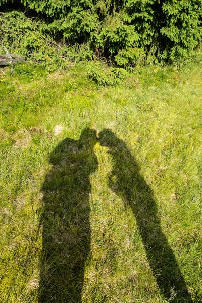 Just Married Grass — Stock Photo, Image