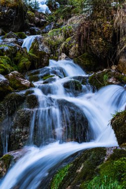 Avusturya Alplerinde güzel hafta