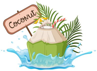 Bir Hindistan cevizi tabelada beyaz arka plan illüstrasyon