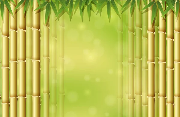 Yeşil Bambu Doğa Şablon Çizimde — Stok Vektör
