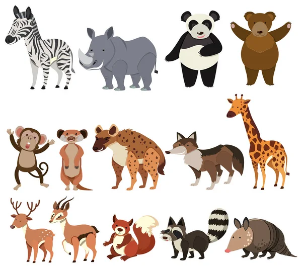 Ensemble Animaux Sur Fond Blanc Illustration — Image vectorielle