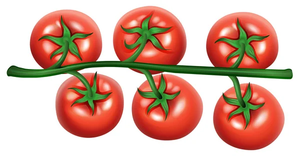 Cherry Tomaten Witte Achtergrond Afbeelding — Stockvector