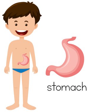 Genç yerleştirme mide şekil çocukla