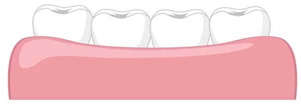 ガム図内歯します — ストックベクタ