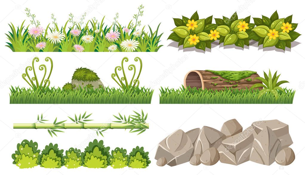 Set of forest objects illustration