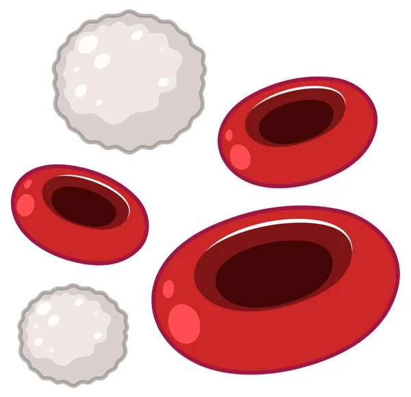 Ilustración Glucosa Células Sanguíneas — Archivo Imágenes Vectoriales
