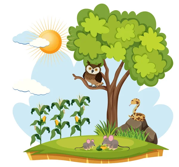 Crop Farm Wild Animals Illustration — Stock Vector
