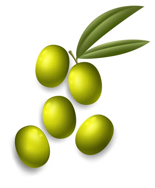 Olives Fraîches Sur Fond Blanc Illustration — Image vectorielle