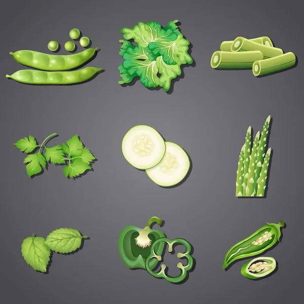 Inställd Grön Grönsak Illustration — Stock vektor