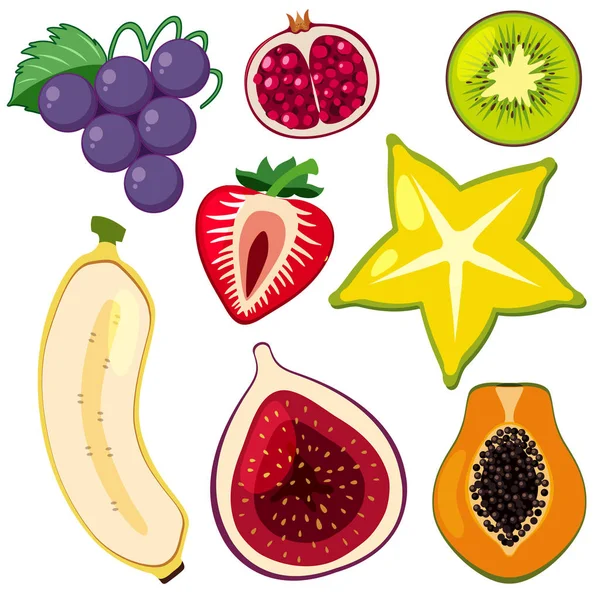 Slet Sliced Fruit Illustration - Stok Vektor