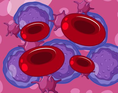 Kırmızı beyaz kan hücreleri ve trombosit illüstrasyon