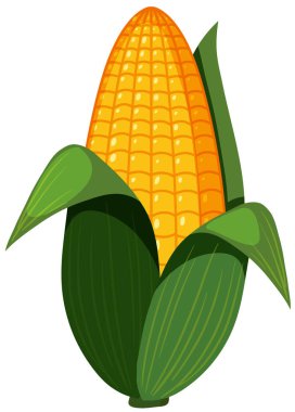 Beyaz arka plan illüstrasyon bir organik Mısır