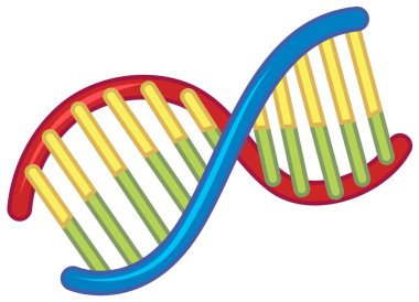 Beyaz arka plan illüstrasyon DNA