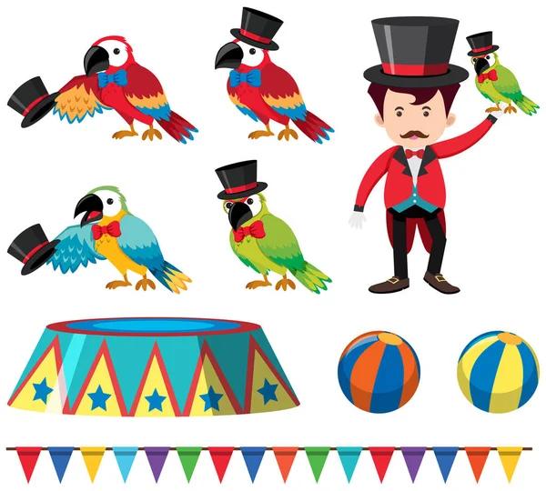 Set Circus Parrot Show Ilustrasi - Stok Vektor