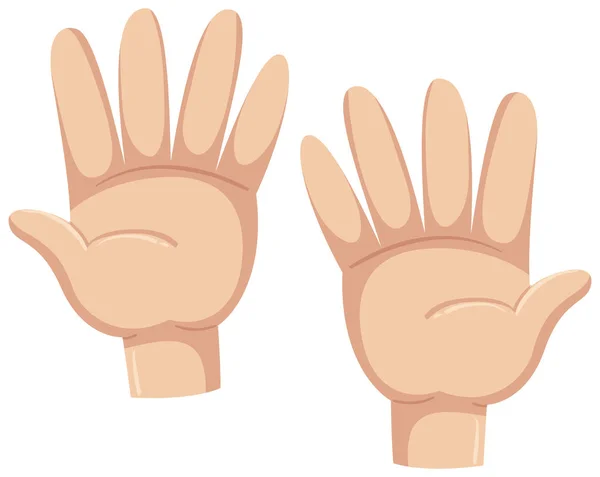 人間の手の図のセット — ストックベクタ